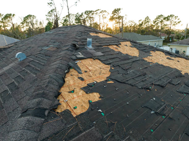 Best Roof Maintenance and Cleaning  in New Canaan, CT