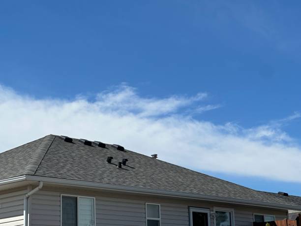 Best Sheet Metal Roofing  in New Canaan, CT